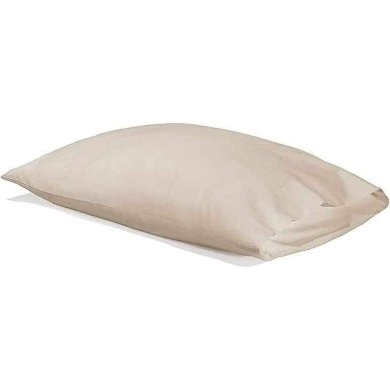 Bed bath 2025 beyond cushion