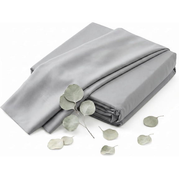 Bedding Premium Silky Soft 100% Tencel Lyocell Derived from Eucalyptus 4-Piece Sheet Set, Queen - Light Gray