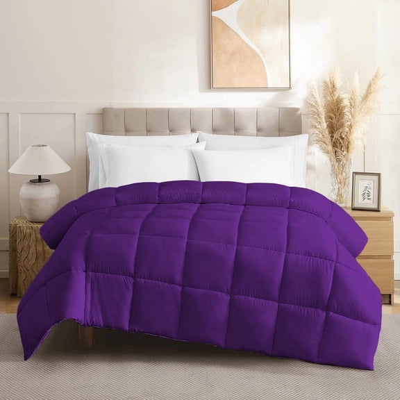 Bedding Season Pima Cotton 1 Pieces Comforter ( 1000 Thread Count ) - 500 GSM Box Pattern Quilt - (Full 80" x 88", Purple)