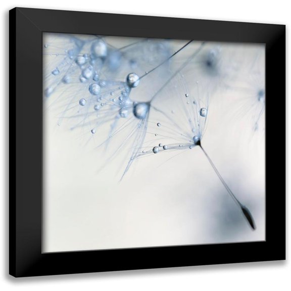 Beddoes, Ingrid 12x12 Black Modern Framed Museum Art Print Titled - Baby Blue