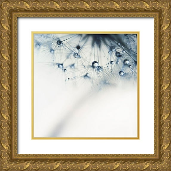 Beddoes, Ingrid 12x12 Gold Ornate Wood Framed with Double Matting Museum Art Print Titled - Indigo