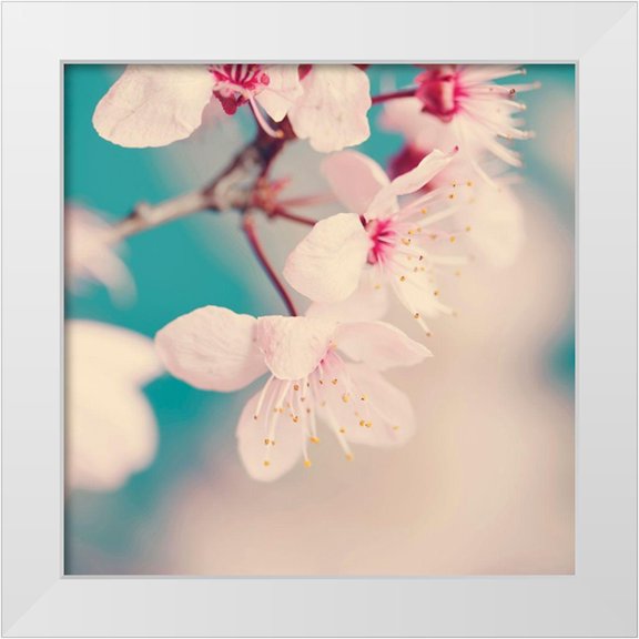 Beddoes, Ingrid 12x12 White Modern Wood Framed Museum Art Print Titled - Spring blossoms