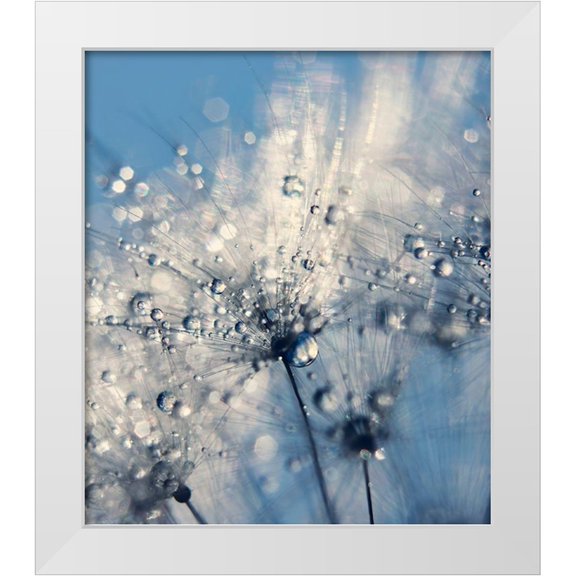Beddoes, Ingrid 12x13 White Modern Wood Framed Museum Art Print Titled - Summer Blue