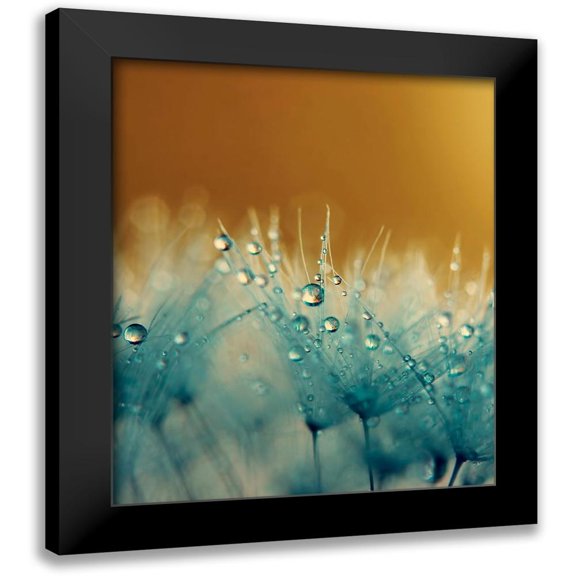 Beddoes, Ingrid 12x14 Black Modern Framed Museum Art Print Titled - Satin