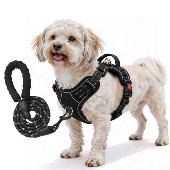 Pet Frenly No Pull Dog Harness with Leash Adjustable Reflective Vest Harness with Handle for Small Dogs