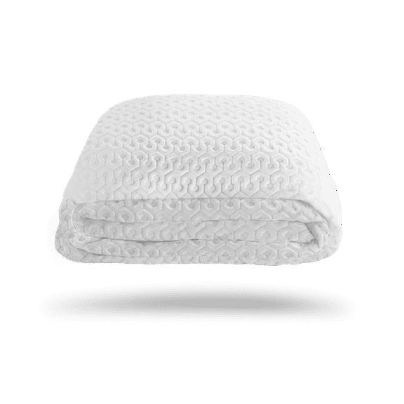 Bedgear Dri-Tec Mattress Protector (Queen)