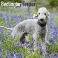 Bedlington Terrier Calendar 2018 Dog Breed Calendar Wall Calendar