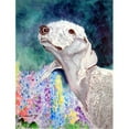 thumbnail image 1 of Bedlington Terrier House Size Canvas Flag, 1 of 1