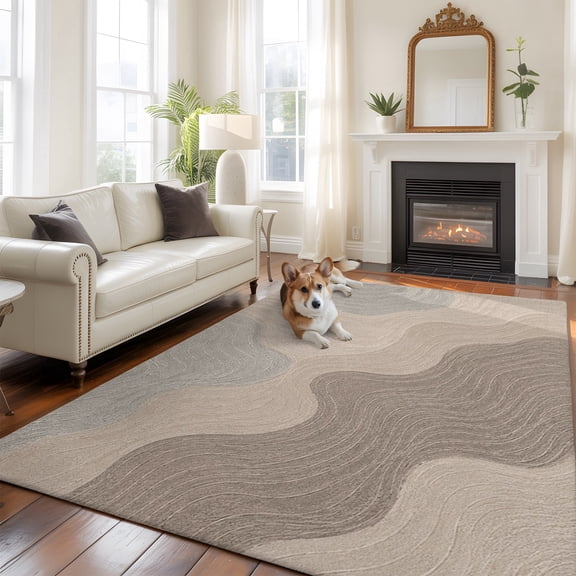 Bedliving 5' x 7' Washable Area Rug, Gray Beige Contour Line Abstract Low Pile Carpet for Bedroom Home Office