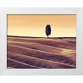 thumbnail image 1 of Bednarek, M. 14x12 White Modern Wood Framed Museum Art Print Titled - Harvest Season in Tuscany, 1 of 4