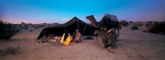 Bedouin Camp Tunisia Africa Canvas Art - Panoramic Images (36 x 13)