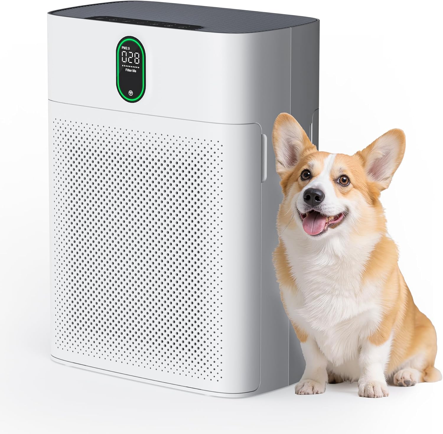 Bedroom Air Purifier for Large Rooms up to 1076 sq ft, PM2.5 Display, True HEPA, Removes Pet Hair, Dual-side Inlet, Ultra-Quiet 24dB, White, 1 Pack