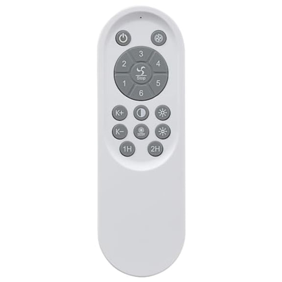 Bedroom Ceiling Fan Light Remote Control 2.4GHz DC Inverter 110V Controller