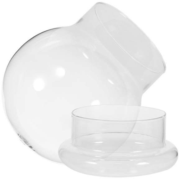 FENGGUIQU Transparent Glass Dome Cloche for Plants Modern Home Decoration