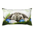 thumbnail image 1 of Bedroom Outdoor Decorations Rectangle Two Sides Printed Bunny-Rabbit Easter Sofa Throw Pillow Case Cushion Cove, 1 of 6
