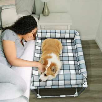Kuranda Orthopedic Chewproof Elevated Dog Bed Outdoor Almond