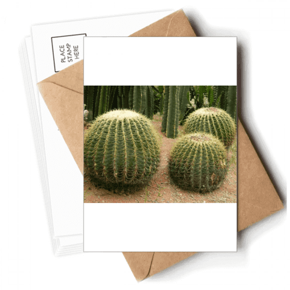 Green Oval ly Pear Art Deco Fashion Postcards Envelopes Blank Note Cards Mailing