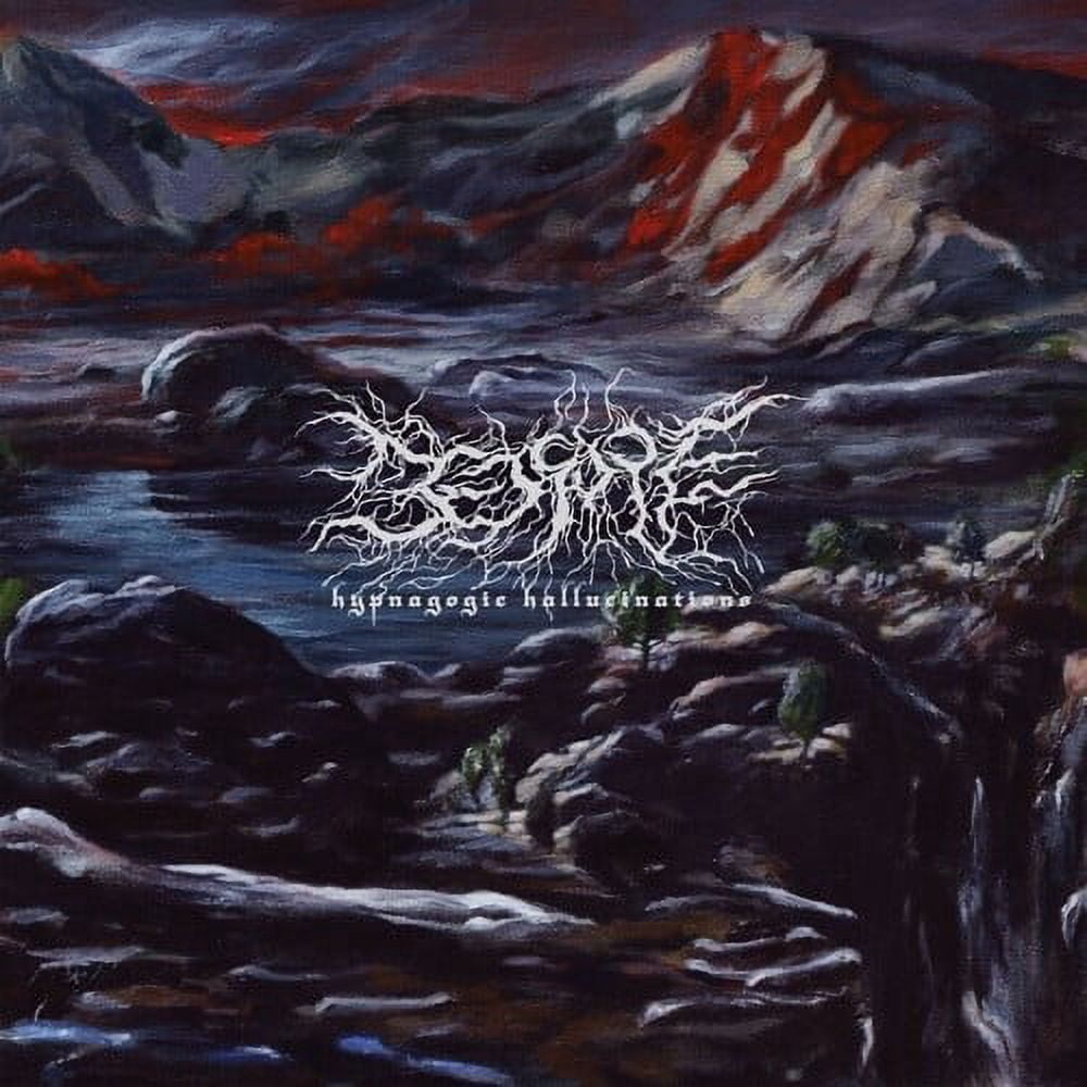 Bedsore - Hypnagogic Hallucinations - Music & Performance - Vinyl