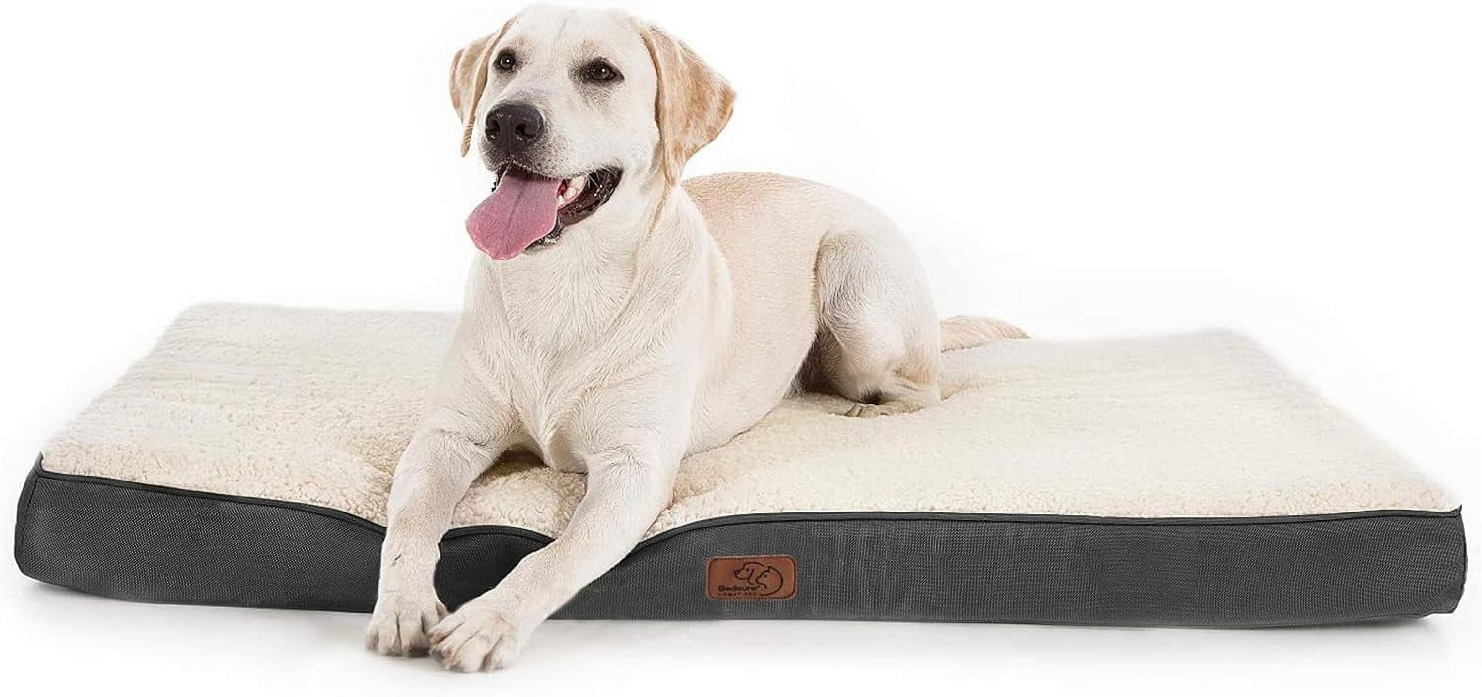 Cozy Comfort Orthopedic Dog Bed for Large Dogs, with Removable Washable Cover, Egg Crate Foam Pet Bed Mat, Suitable for Dogs Up to 65lbs