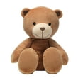thumbnail image 1 of Bedtime Originals Animal Alphabet Plush Brown Bear Stuffed Animal Toy, 1 of 6