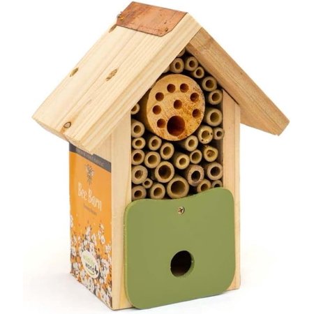 Bee Barn