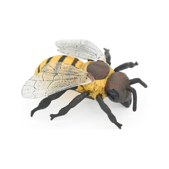 Bee, Bumblebee, Hornet, Yellowjacket, Museum Quality, Rubber Insect, Hand Painted, Realistic Toy Figure, Diorama Model, Kids, Educational, Gift, 3 Inches. CH015 BB70