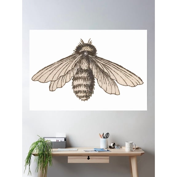 Bee Drawing Entomology Illustration Poster Wall Art Modern Wall Decor For Living Room Bedroom Art
