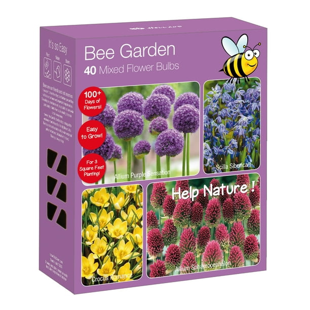 Bee Garden Nature Friendly Collection Multi-Colored Assorted Bulbs with ...