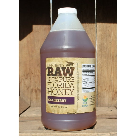 Bee-Haven Honey Farm Raw 100% Pure Gallberry Honey, 6 Pound Bottle