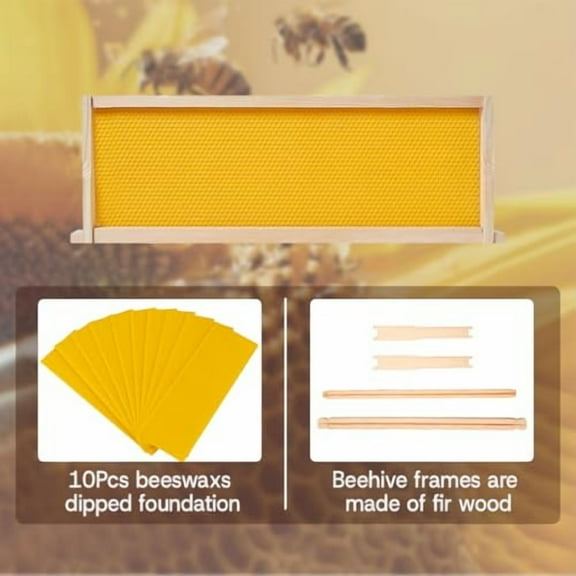 Bee Hive Boxes 10 Frame Langstroth Beehive,Complete Beehive Kit Includes 2 Deep Brood Bee Hives Box, 2 Medium Super Bee Box with Beehive Frames and Foundation