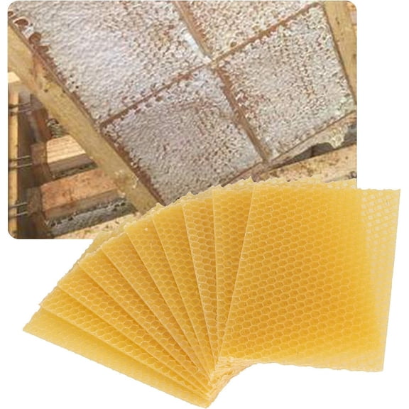 Bee Hive Foundation Honey Hive Equipment Deep House Nest Honeycomb Wax Frame Used In Honeybee Hives To Extract Natural Beeswax