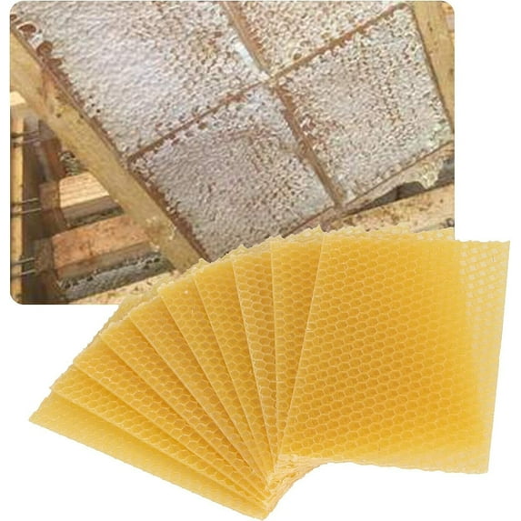 Bee Hive Foundation Honey Hive Equipment Deep House Nest Honeycomb Wax Frame Used In Honeybee Hives To Extract Natural Beeswax