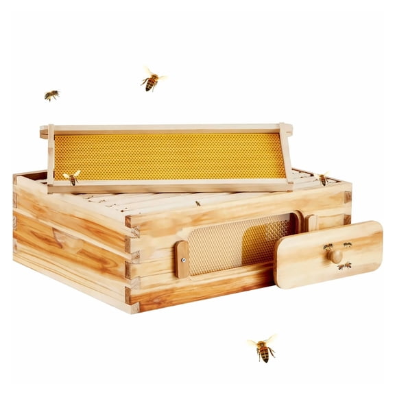 Bee Hive Medium Box Kit, Fir Wood Langstroth Hive, 10 Frames, Swax Coated, Transparent Windows, Beginner & Pro Keepers - Natural Wood