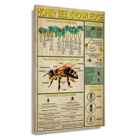 Bee Knowledge Wall Art Educational Wall Art Infographic Posters for Room Decor Pictures Aesthetic Wall Painting for Bedroom Pictures for Bathrooms Home Framed 20x30 in