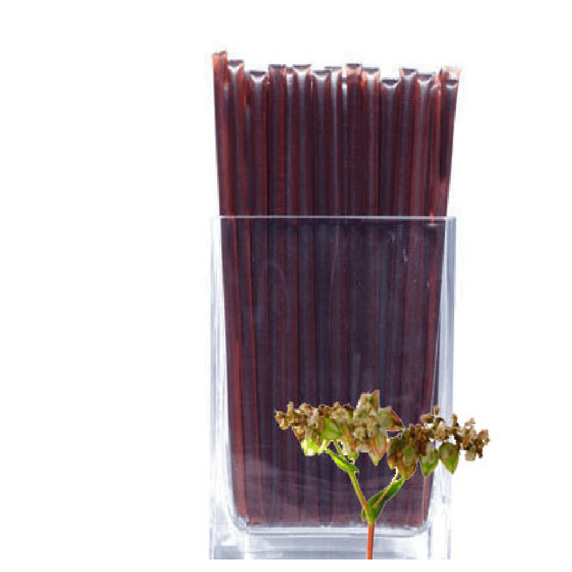 Bee Krazy Buckwheat Honey Sticks