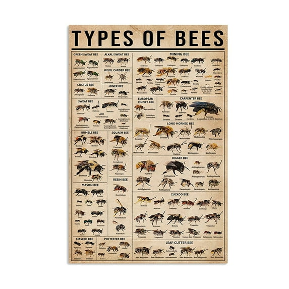 Bee Types Vertical Poster, Types Of Bee Poster, Knowledge Poster, Bee Lover, Honey Bee Lover,Living room wall decoration, frameless 12x16inches