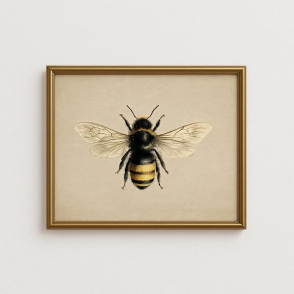 Bee Wall Art, Vintage Botanical Illustration Of Bumblebee, Rustic Farmhouse Nature Home Decor #1177, Unframed Poster Size 16x24