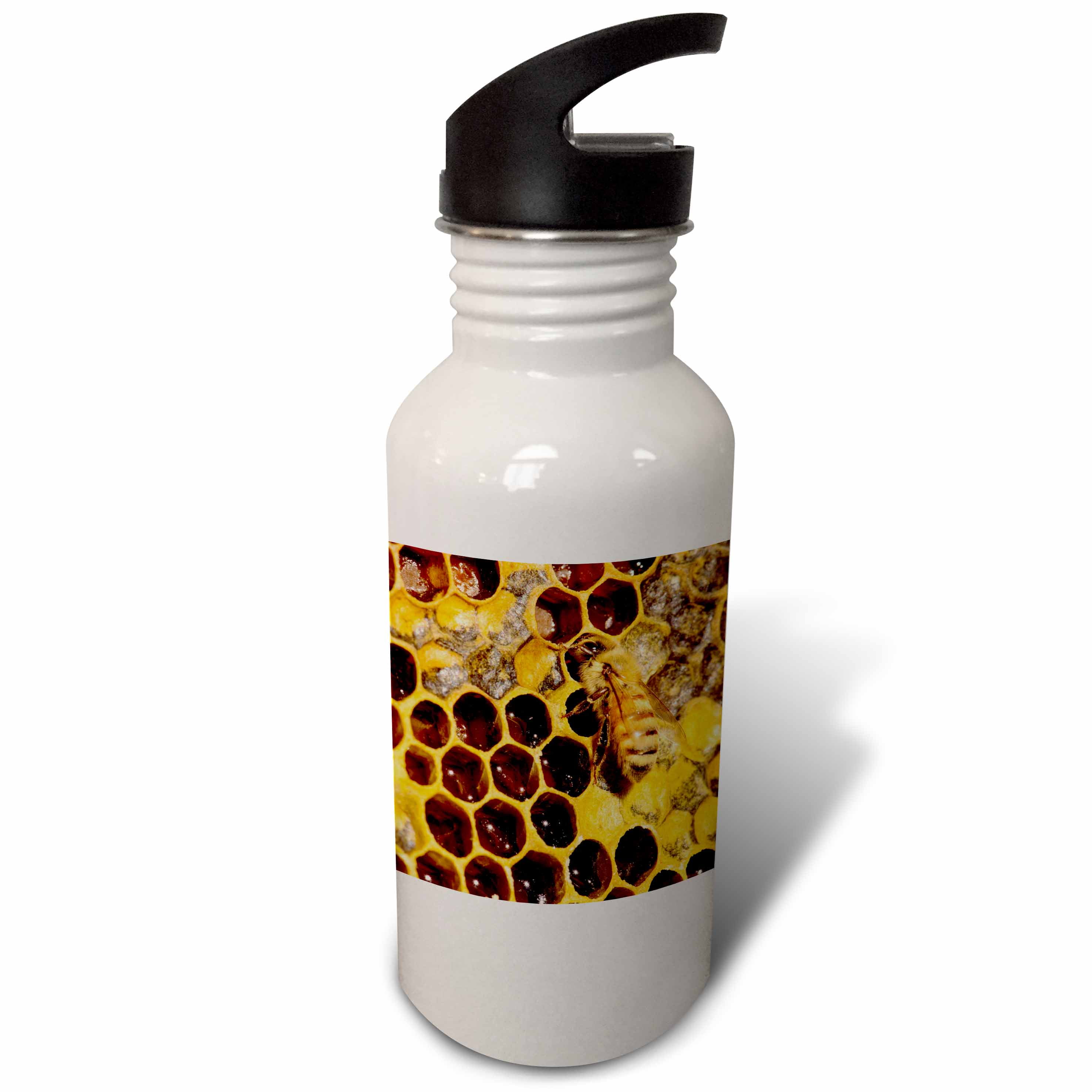 Bee insect and comb, with honey - US48 MFR0056 - MFR 21 oz Sports Water ...