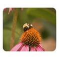 thumbnail image 1 of Bee on a cone flower - Mouse pad, 1 of 4