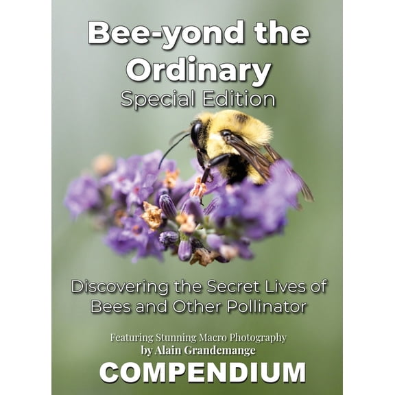 Bee-yond the Ordinary: The 4 Volume Compendium, (Hardcover)