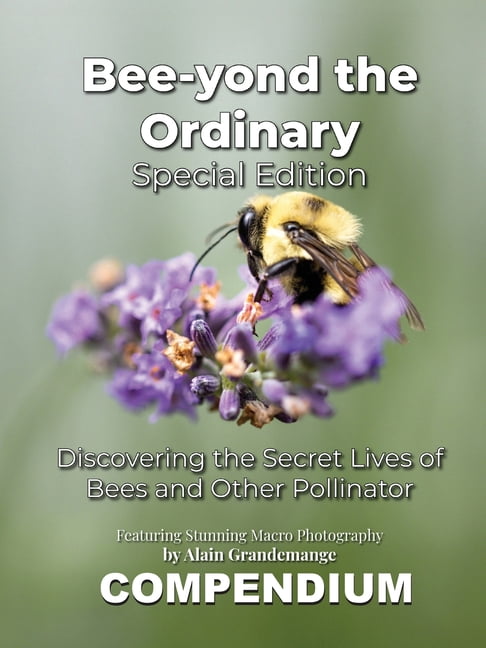 Bee-yond the Ordinary: The 4 Volume Compendium, (Paperback)