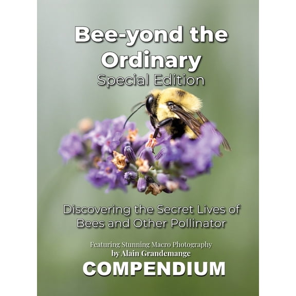 Bee-yond the Ordinary: The 4 Volume Compendium, (Paperback)