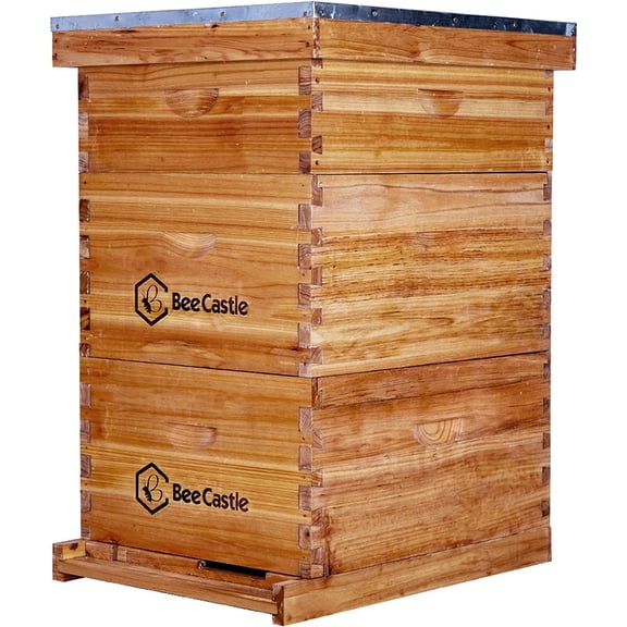 BeeCastle 10 Frame Langstroth Bee Hive Coated with 100% Beeswax includes Beehive Frames and Waxed Foundations (2 Deep Boxes & 1 Medium Box)