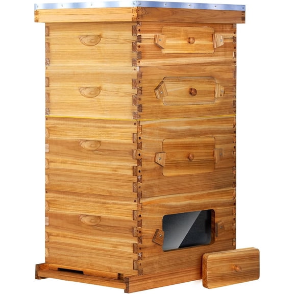 BeeCastle 10 Frame Langstroth Bee Hive with Windows Beeswax Coated Includes Beehive Frames and Waxed Foundations (2 Deep Beehive Boxes & 2 Medium Bee Boxes)