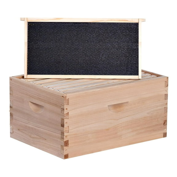 BeeCastle 8 Frame Deep Brood Bee Hive Box, Langstroth Honey Bee Hive Include Beehive Frames and Waxed Foundations (Unassembled)