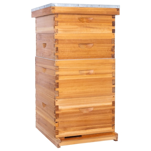 BeeCastle 8 Frame Langstroth Bee Hive Coated with Beeswax Includes Beehive Frames and Waxed Foundations (2 Deep Boxes & 2 Medium Boxes)