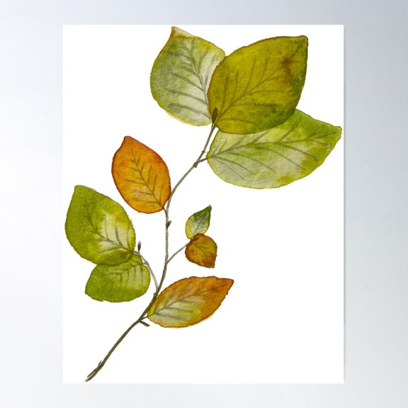 Beech Leaves Poster Wall Art, Modern Wall Decor For Living Room Bedroom, 8x12 UNFRAMED
