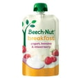 thumbnail interactive-video image 1 of Beech-Nut Breakfast Stage 4 Toddler Food, Yogurt Banana & Berry, 3.5 oz Pouch, 1 of 13