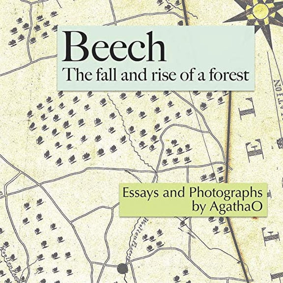 Beech: The Fall and Rise of a Forest Paperback AgathaO, Pleun Clara Bouricius
