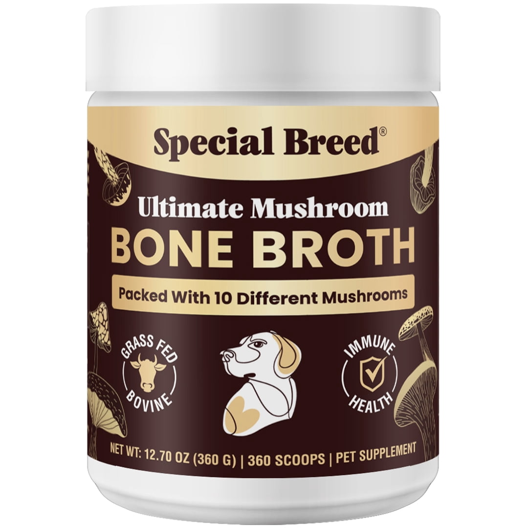 Beef Bone Broth for Dogs - High Protein Powder with Ten Organic Mushrooms & Collagen - Immune, Joint, Digestion & Cognitive Support - Tasty Dog Food Topper - Natural Hydration Booster